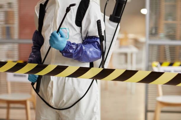 Professional Sewage Cleanup technician working in Iola, WI